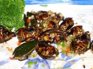 Fried Water Beetles