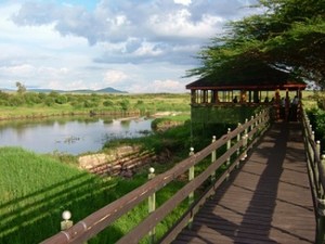 The Hippo Bar, Keekorok Lodge, Masai Mara