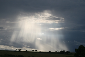 Afternoon storm in the Mara