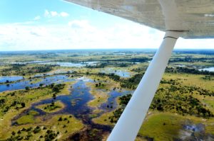 Botswana Okavango Delta small