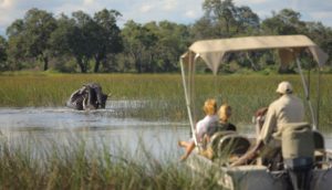 XUDUMa-botswana-safari-at-andbeyond-xudum-okavango-delta-lodge-23.jpg.950x0