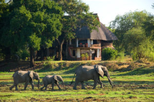 Luangwa Safari House