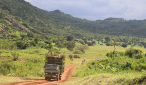 truck-in-landscape