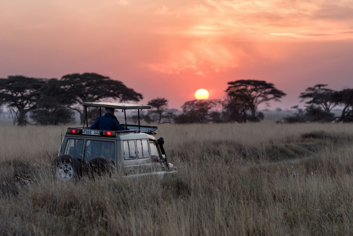 Sunrise safari in the Serengeti