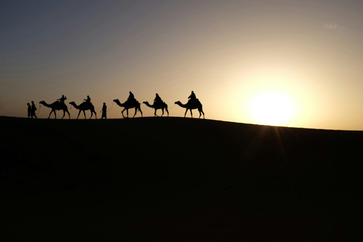 Camels at sunset in Merzouga, Morocco